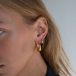 Demi Hoops - Réalta