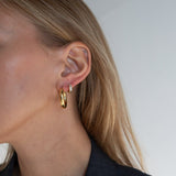 Demi Hoops - Réalta