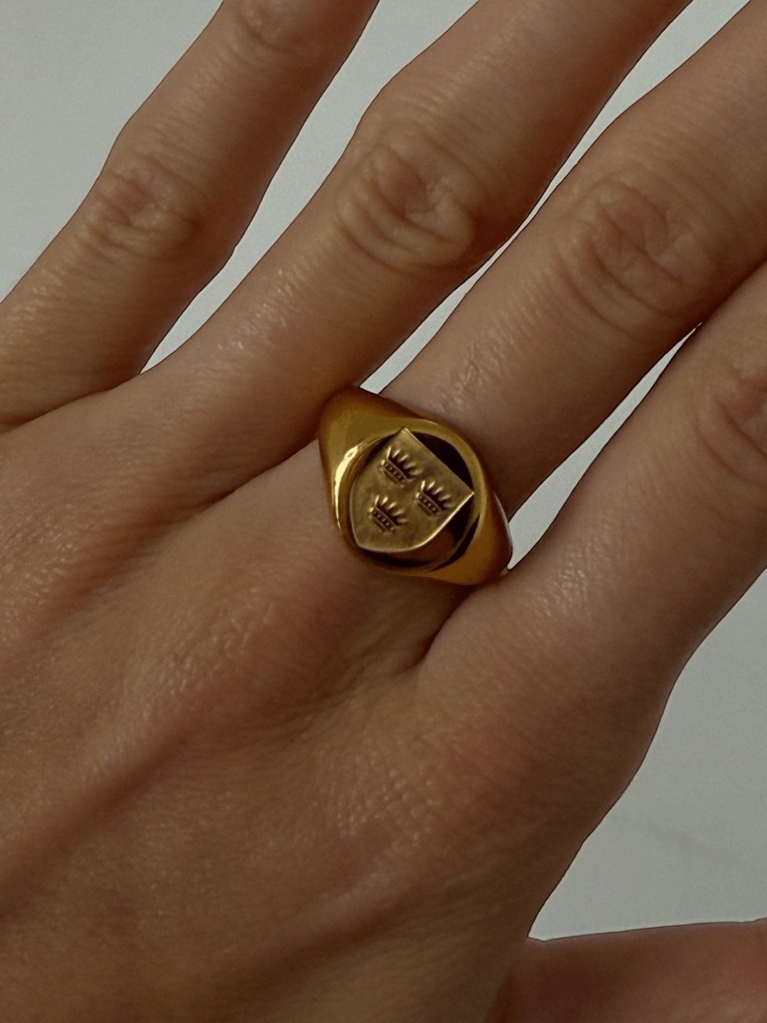 Irish Province Ring - Réalta