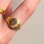 Saoirse Ring - Réalta