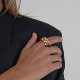 Carrie Ring - Réalta
